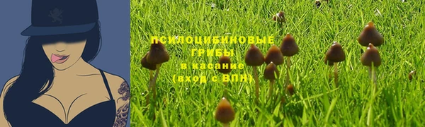a pvp Заволжск