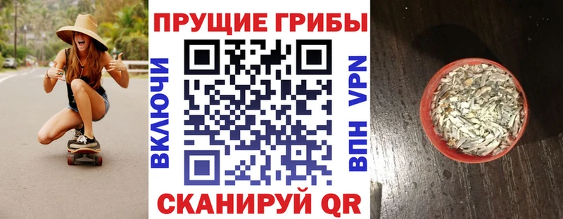 где продают   blacksprut как зайти  Галлюциногенные грибы прущие грибы  Мирный 